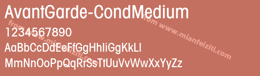 Avant Garde Cond Medium预览图1
