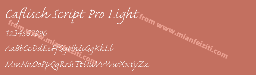 Caflisch Script Pro Light预览图1