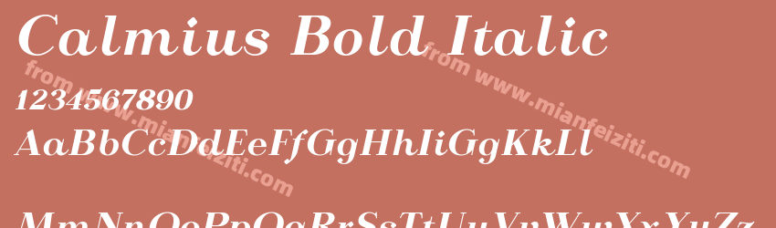 Calmius Bold Italic预览图1