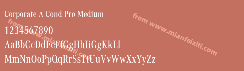 Corporate A Cond Pro Medium预览图1