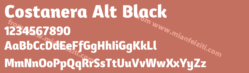 Costanera Alt Black预览图1