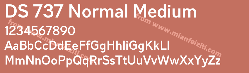 DS 737 Normal Medium预览图1