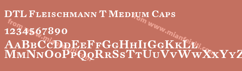 DTL Fleischmann T Medium Caps预览图1