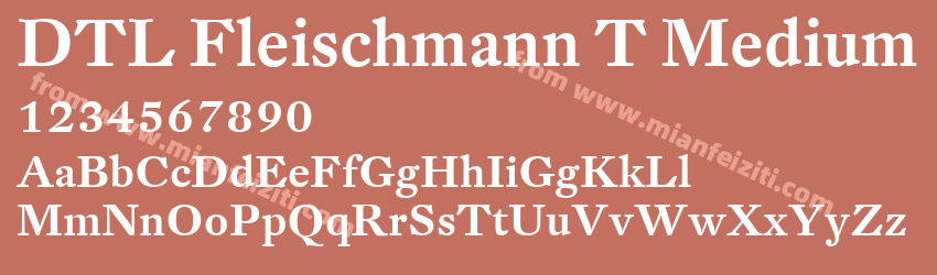 DTL Fleischmann T Medium预览图1