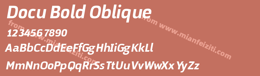 Docu Bold Oblique预览图1