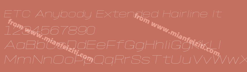 ETC Anybody Extended Hairline It预览图1