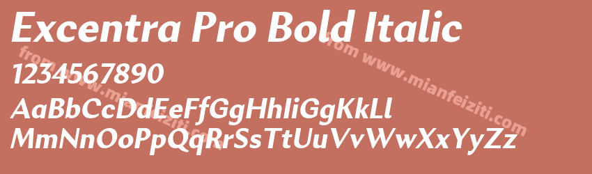 Excentra Pro Bold Italic预览图1