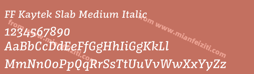 FF Kaytek Slab Medium Italic预览图1