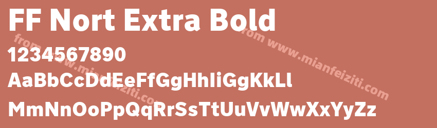 FF Nort Extra Bold预览图1