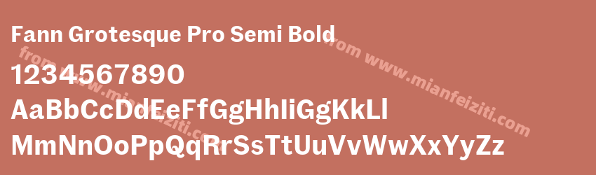 Fann Grotesque Pro Semi Bold预览图1