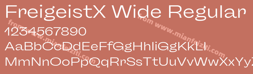 FreigeistX Wide Regular预览图1