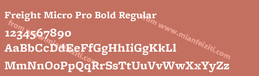 Freight Micro Pro Bold Regular预览图1