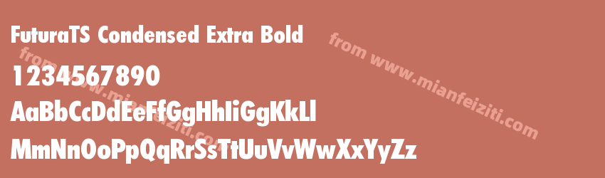 FuturaTS Condensed Extra Bold预览图1