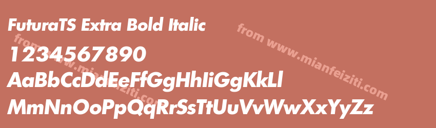 FuturaTS Extra Bold Italic预览图1