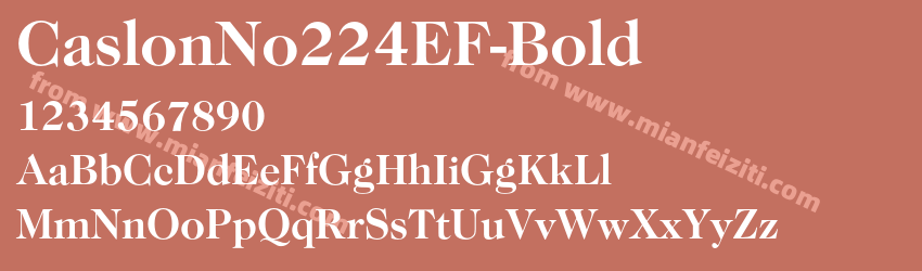 Caslon No224EF Bold预览图1