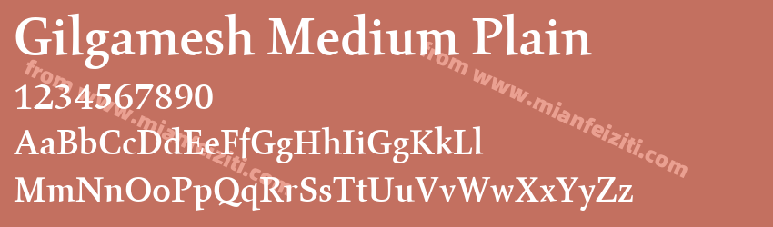 Gilgamesh Medium Plain预览图1