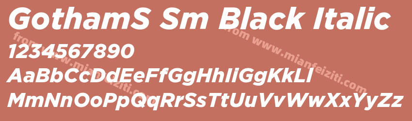 GothamS Sm Black Italic预览图1
