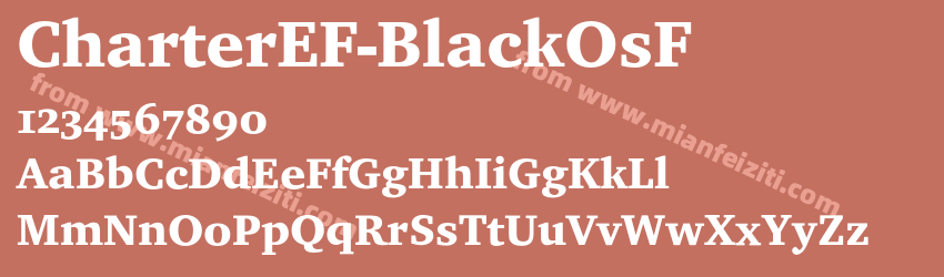 CharterEF Black OsF预览图1
