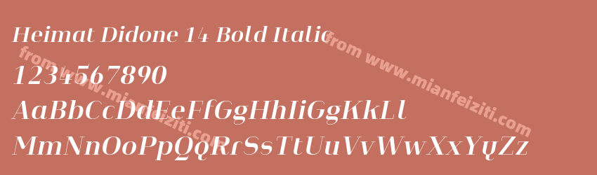 Heimat Didone 14 Bold Italic预览图1