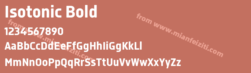 Isotonic Bold预览图1