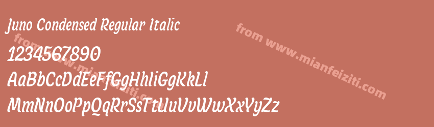 Juno Condensed Regular Italic预览图1