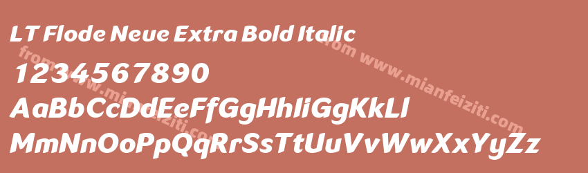 LT Flode Neue Extra Bold Italic预览图1