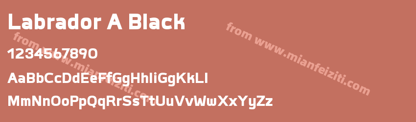 Labrador A Black预览图1