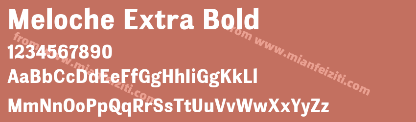 Meloche Extra Bold预览图1