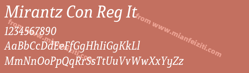 Mirantz Con Reg It预览图1