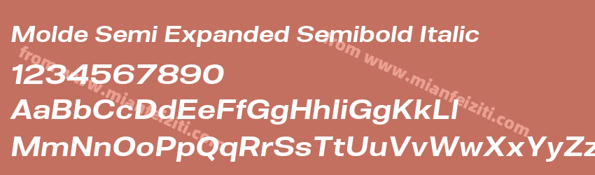 Molde Semi Expanded Semibold Italic预览图1 Molde Semi Expanded Semibold Italic预览图1