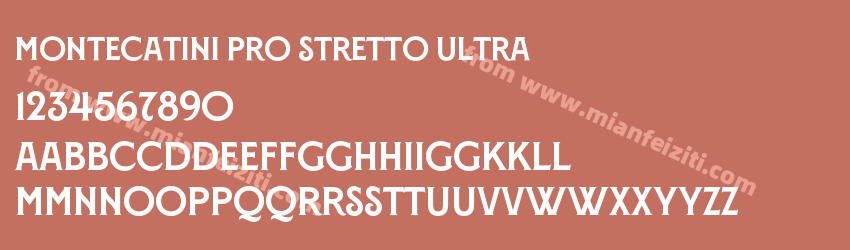 Montecatini Pro Stretto Ultra预览图1