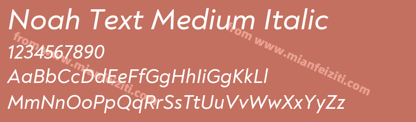 Noah Text Medium Italic预览图1