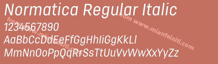 Normatica Regular Italic预览图1