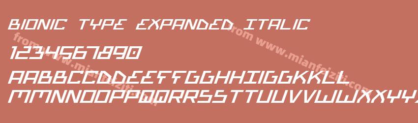 Bionic Type Expanded Italic预览图1