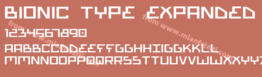 Bionic Type Expanded预览图1