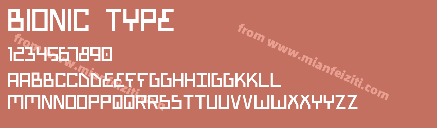 Bionic Type预览图1