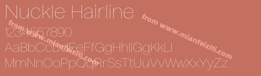 Nuckle Hairline预览图1