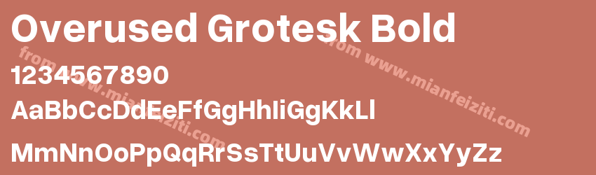 Overused Grotesk Bold预览图1