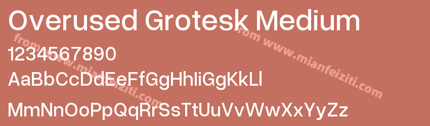 Overused Grotesk Medium预览图1