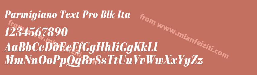 Parmigiano Text Pro Blk Ita预览图1