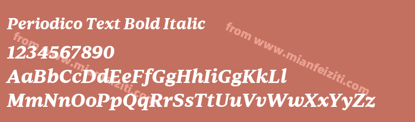 Periodico Text Bold Italic预览图1