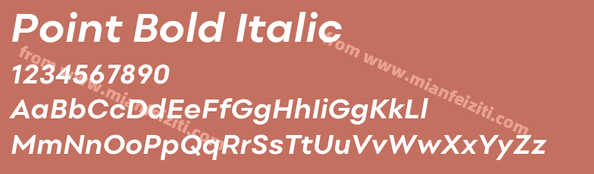 Point Bold Italic预览图1