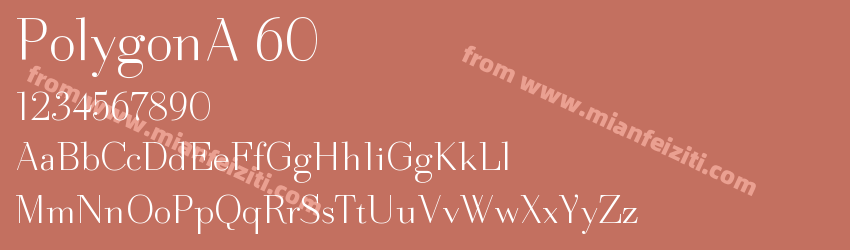 PolygonA 60预览图1