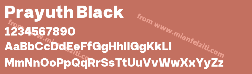 Prayuth Black预览图1