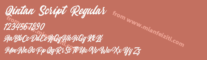 Qintan Script Regular预览图1