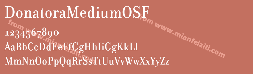 Donatora MediumOSF预览图1