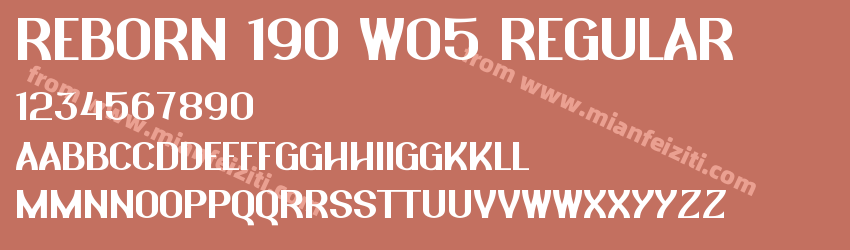 REBORN 190 W05 Regular预览图1