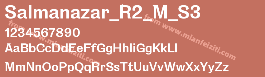 Salmanazar_R2_M_S3预览图1