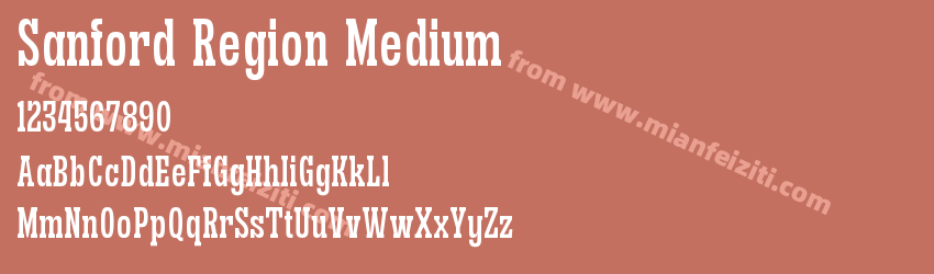 Sanford Region Medium预览图1