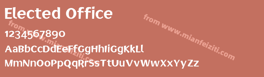 Elected Office预览图1